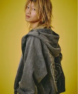 Толстовка джинсовая GALFY/Galfy Gurgunya (мужская) Select Brands, цвет Brown