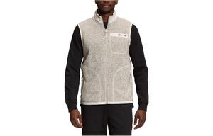 Жилет мужской серый The North Face, серый