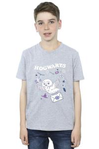 Футболка «Письмо совы из Хогвартса» Harry Potter, серый