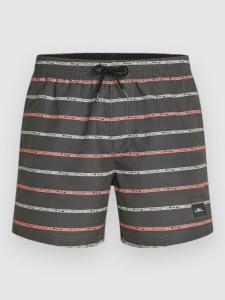 Пляжные шорты O'Neill Cali First 15'' Boardshorts, grey o/neill stripe