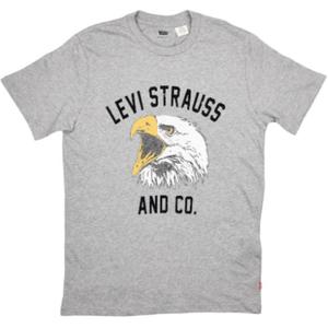 Футболка мужская серая Levis, серый