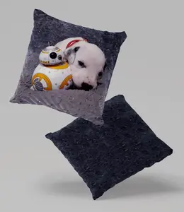 Подушка велюровая ПРЕМИУМ Далматин, Звездные войны 40 х 40 см декоративная с наполнителем, для гостиной, спальни или в подарок 5made