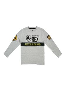 Рубашка с длинным рукавом Jurassic World, серый