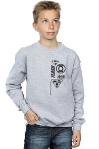 Толстовка с изображением груди Лиги справедливости DC Comics, серый