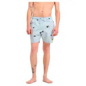 Шорты для плавания Santa Cruz Winkowski surf, синий