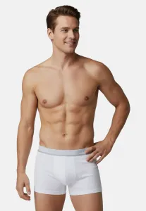 Трусы Impetus, White P