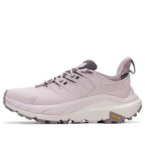 Кроссовки (WMNS) HOKA ONE ONE Kaha 2 GTX 'Cosmic Pearl', розовый