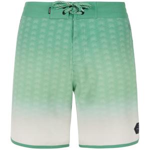 Шорты для плавания prtchad Protest, зеленый