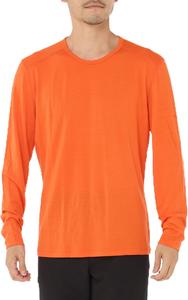 Футболка с длинным рукавом Icebreaker Ron Merino 200 Oasis LS Crewe, мужская