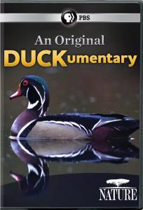 Диск DVD Nature: An Original Duckumentary