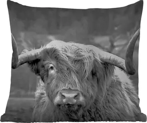 Подушка для улицы - Шотландский горный скот - Голова коровы - Пейзаж - Природа - Корова - 45x45 см - Водонепроницаемая - Подушка для отдыха - Подушка с фотографией - Декоративная подушка MuchoWow