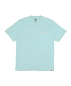 Мужская футболка пастельно-бирюзового цвета Dickies, зеленый