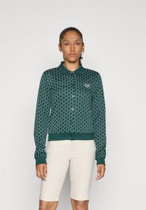 Толстовка EA7 Emporio Armani TRAIN GOLF CLUB, Fancy Ponderosa /Green