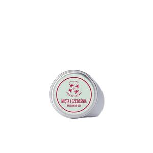 Бальзам для губ «4 скворца, мята и вишня», 4 Szpaki