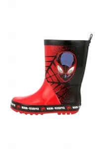 Резиновые сапоги Bartek, Black