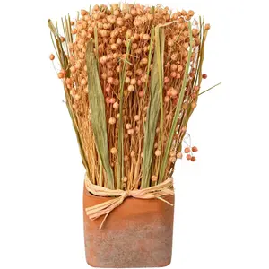 Креатив домашних сухоцветов «Сухоцветы в горшке» Creativ Home, розовый