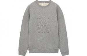 Толстовка мужская Loewe, серый