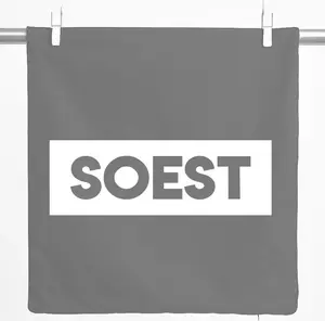 Декоративная наволочка для подушки с принтом Hellweg, Soest, классический подарочный чехол, 40x40 см, стальной серый хлопок, Soest, украшение Hellweg Druckerei