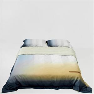 Generic Комплект постельного белья 600TC с шелковистой гладкостью