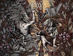 Виниловая пластинка Appalooza: The Shining Son