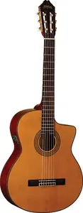 Washburn Classical C64SCE Natural