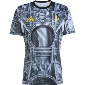 Футболка Juventus FW25 мужская Adidas, черный/белый/серый