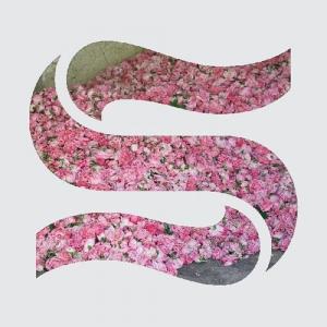 Виниловая пластинка LP Step By Step EP - Braxe & Falcon