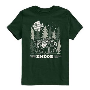 Футболка с принтом Endor National Park для мальчиков 8-20 Star Wars, Forest Green