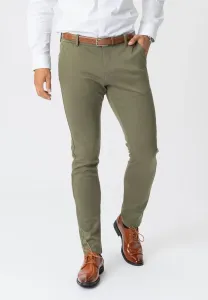 Брюки Teeshoppen, Olive