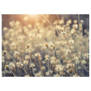 Картина на холсте A.S. Création Mexican Daisy цвет beige/weiß