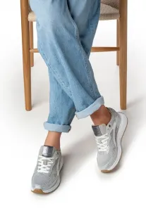 Тренеры Floris Van Bommel, Silver