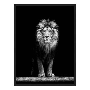 Картина Any Image Beautiful Lion, 62x82x2,6 см