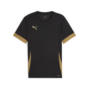 Мужская футболка Puma teamGOAL Matchday Jersey 705747