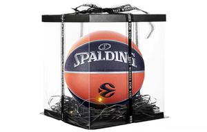 Баскетбольные мячи для соревнований SPALDING