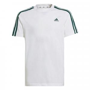 Adidas Футболка White/Forest Green