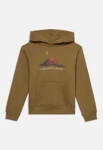 Толстовка с графическим принтом «горная ночь» The North Face, Cedar