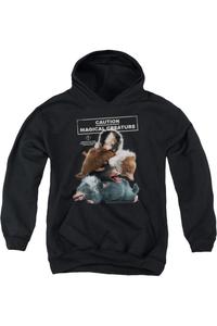 Фантастические твари 2 Толстовка с капюшоном Cuddle Puddle Youth Gildan, черный