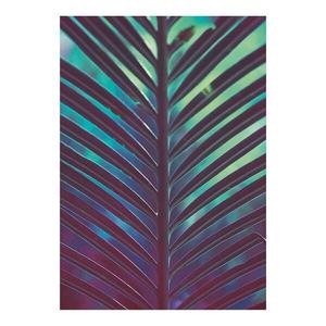 Фреска Komar Hide, разноцветный