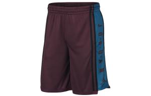 Баскетбольные шорты мужские щавель Jordan, цвет Russet