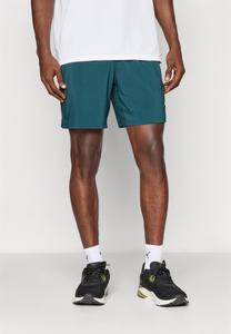 Спортивные шорты Puma ESSENTIALS, Green Terrain/Green
