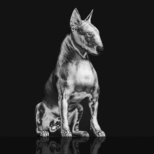 Виниловая пластинка Riskee & the Ridicule: Platinum Statue