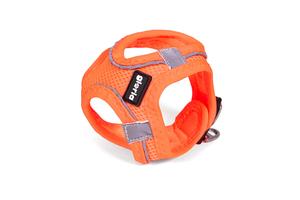 Шлейка/платье Gloria Pets Air Mesh Trek Star Orange для собак л Gloria Pets, цвет оранжевый