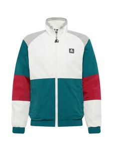 Демисезонная куртка Starter Black Label, Mixed colors