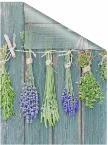 LICHTBLICK ORIGINAL оконная пленка "Травы", 1 шт., непрозрачная, структурированные клейкие точки, самоклеящаяся, защита конфиденциальности 100х100 см, зеленый