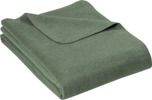Одеяло Erwin Müller 162107, 150x1x200 см, зеленый