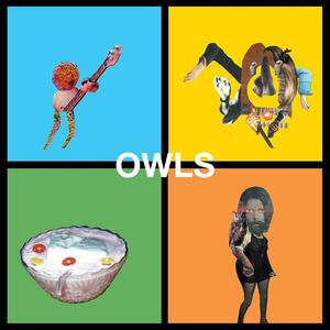 Виниловая пластинка LP Owls [Translucent Blood Orange Vinyl] - Owls