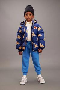 Детская куртка Dinos Mini Rodini, синий