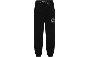 Повседневные брюки мужские черные Evisu, черный