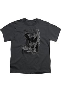 Футболка с коротким рукавом для подростков Batman The Knight Life Gildan, Charcoal