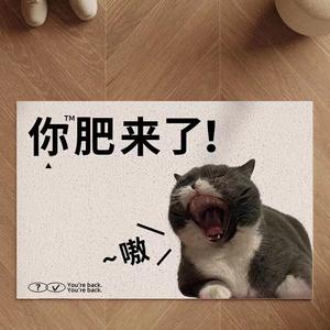 Budis Ковер 100х130 см из ПВХ, приветственный, для прихожей, пылесборный, с противоскользящим покрытием